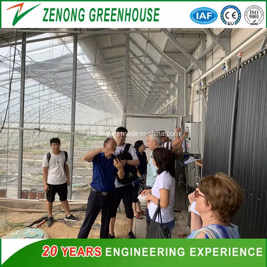 Greenhouse Garden Solar Panel Glass Greenhouse Kit Accessories Multi